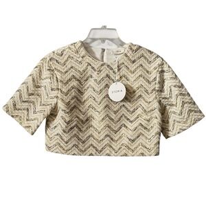 Storia Anthropologie Textured Chevron Sequin Crop Top Zippered Back Size Small